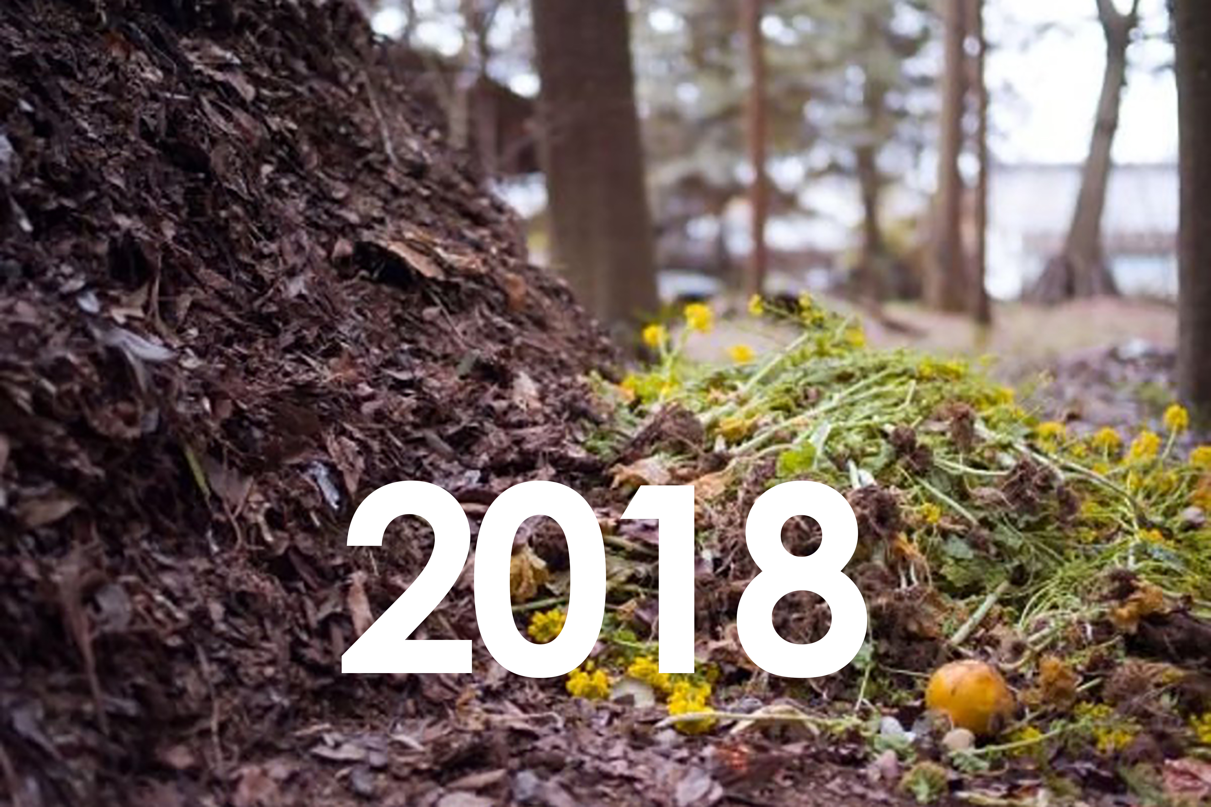 Resolutions 18
